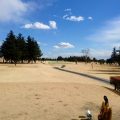 上武ゴルフ場でテストラウンドです。
